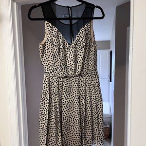 BCBGeneration Dress Chai Combo Polka Dot Dots Mesh Mini  - Size 4